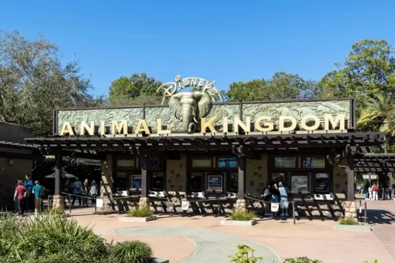 Animal Kingdom